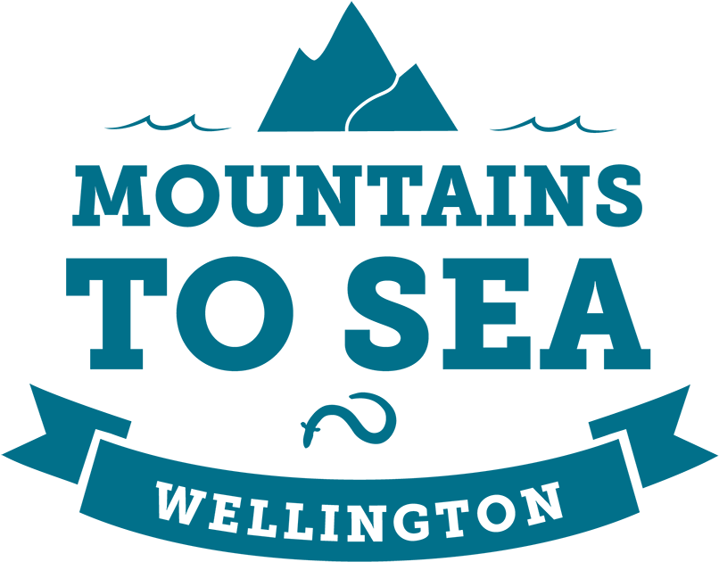 Mountains To Sea Wellington - Vector Graphics (850x718), Png Download