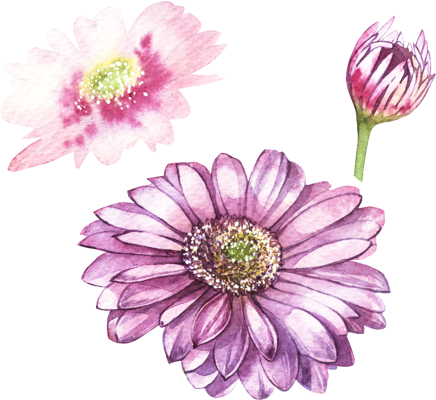 Watercolor Painting (1024x1024), Png Download