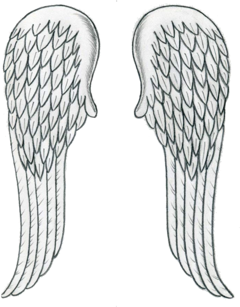 Source - Data - Whicdn - Com - Report - Transparent - Angel Wing Drawing Easy (500x613), Png Download
