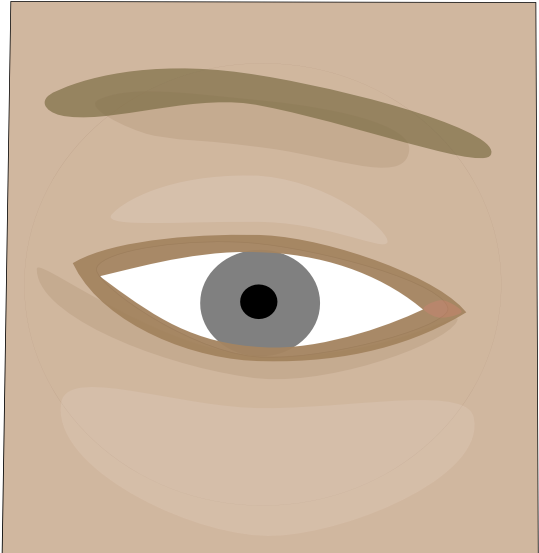 Human Eye, Rendered From Eye - Portable Network Graphics (567x567), Png Download