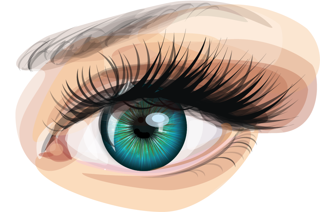 Human Eye Euclidean Vector Clip Art - Eyelash Demodex (1250x1250), Png Download