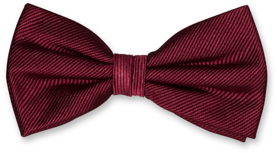 Bordeaux Fliege (624x624), Png Download