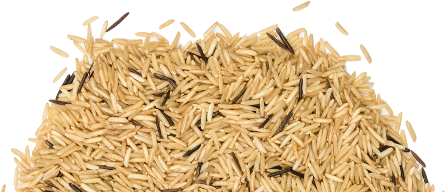 Floating Leaf Basmati Brown Rice & Wild Rice, Loose - Basmati Brown Rice Png (1000x411), Png Download