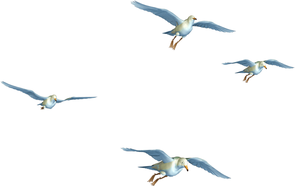 Flying Bird Png Transpa Images Pluspng - Birds Flying Png Hd (1024x768), Png Download