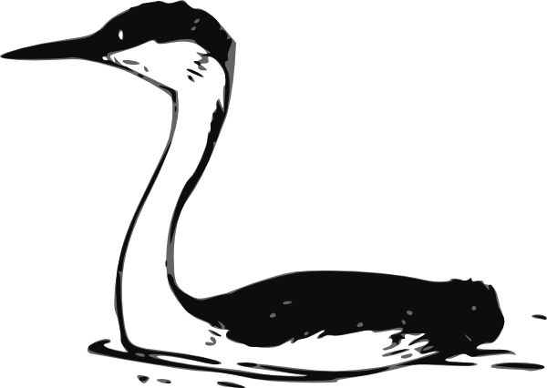 Western Grebe Svg Clip Arts 600 X 426 Px (600x426), Png Download