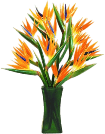 Bird Of Paradise Flowers In A Vase - Ave Del Paraiso Florero (427x468), Png Download