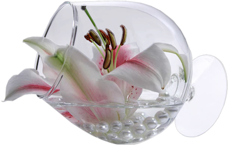 Brandy Glass Flower - Good Morning Best Images Hd (500x339), Png Download