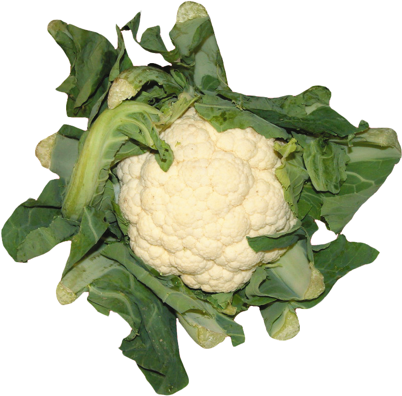 Cauliflower Png Image Without Background - Cauliflower (900x834), Png Download
