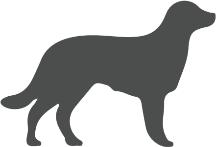 Daily Support Dog - Dog Silhouette Hd (600x400), Png Download