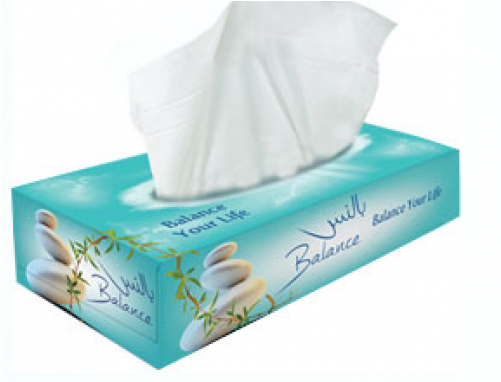 Willow Tissue Box Cover (500x500), Png Download