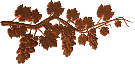 Grape Vine Ribbon - Grape (430x430), Png Download