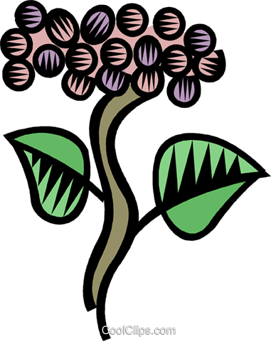Grape Vines Royalty Free Vector Clip Art Illustration (381x480), Png Download