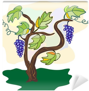 Grape (400x400), Png Download