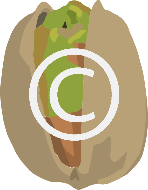 Pistachio - Png - Portable Network Graphics (624x800), Png Download