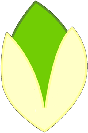Pistachio Old Body - Bfdi Leafy Old Body (314x440), Png Download