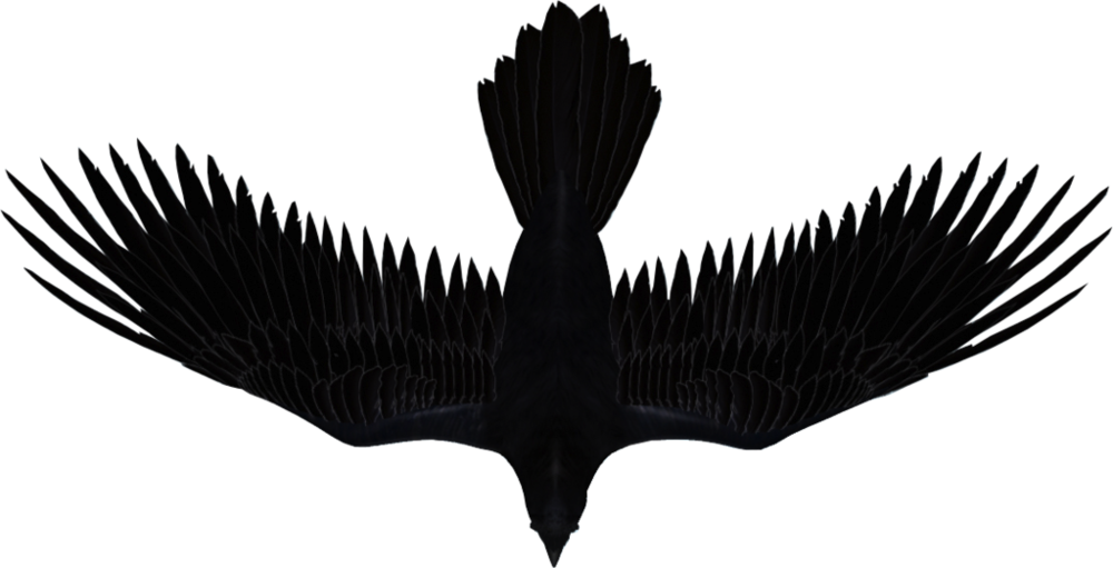 Artist Management For Indie Artists And Bands - Raven Music (1000x511), Png Download