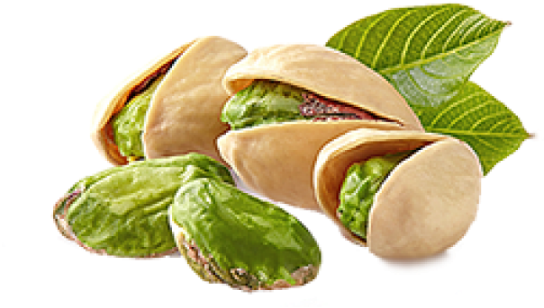 Pistachio Pregnancy (640x480), Png Download