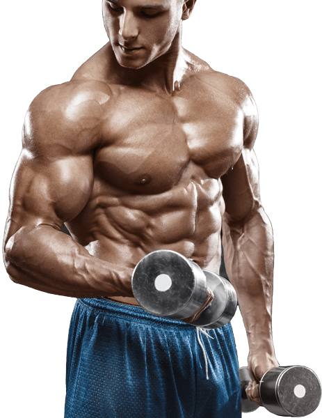 How Does My Diet Effect My Arms Growing Or Not - Beast Pump Muscle Training Bands - Occlusion Elastic (463x600), Png Download
