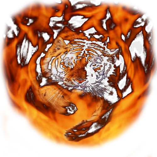 Transparent Background Image - Bengal Tiger (500x500), Png Download