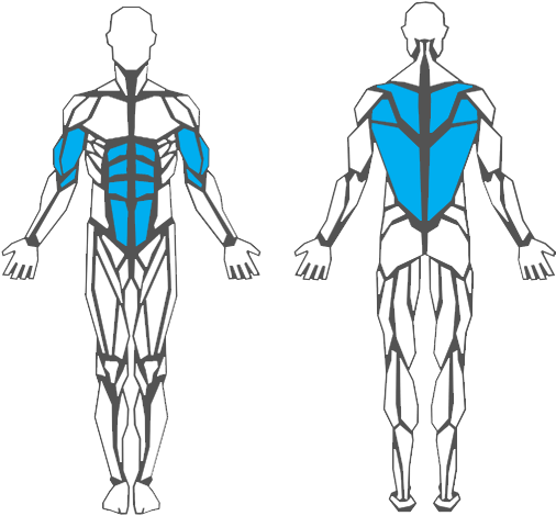 Our Multifaceted Trainers Will Give You Wings And Bring - Illustration (506x470), Png Download