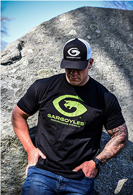 Gargoyles Viper Logo Shirt - Mountain (620x385), Png Download
