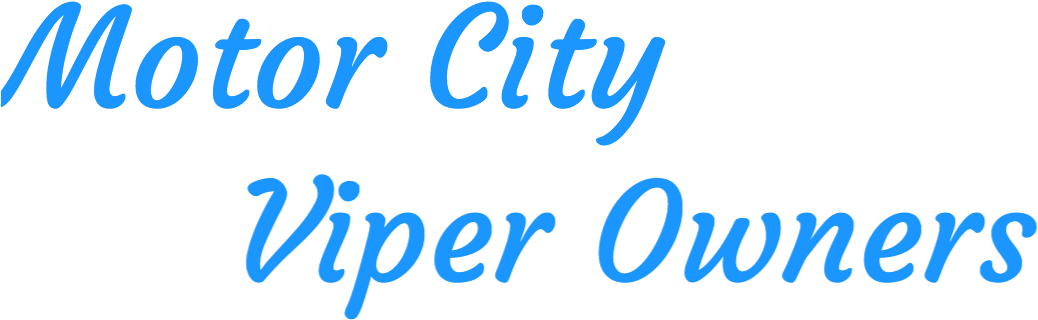 Motor City Viper Owners Logo - My Own Story Journal: Blank Journal [book] (1172x319), Png Download