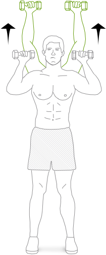 Press The Weights Up Above Your Head Until Your Arms - Illustration (375x510), Png Download