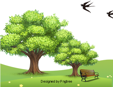Tree Green Natural Landscape, Green Grass, Park, Natural - Ucharge Solar Powered Outdoor String Lights 72ft 200 (360x360), Png Download