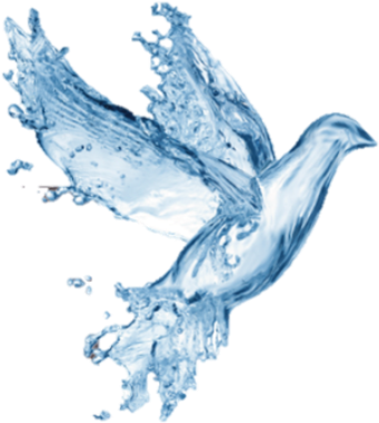 Water Dove Image - Prince Roger Nelson Rip (400x485), Png Download