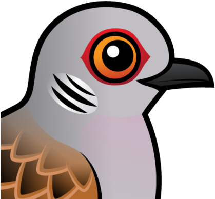 About The European Turtle Dove - Pigeons And Doves (440x440), Png Download