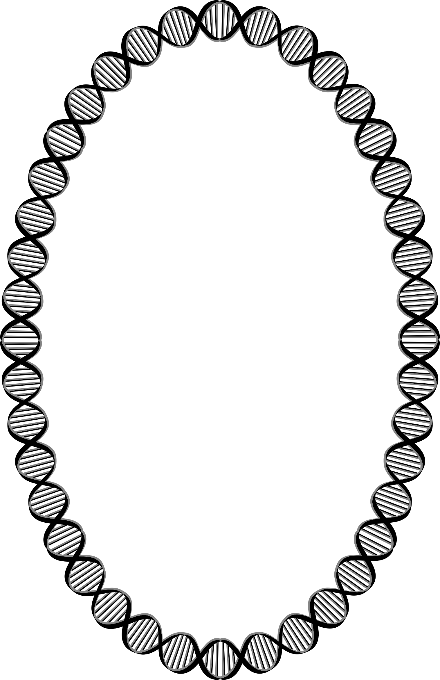 This Free Icons Png Design Of Dna Ellipse (1516x2338), Png Download