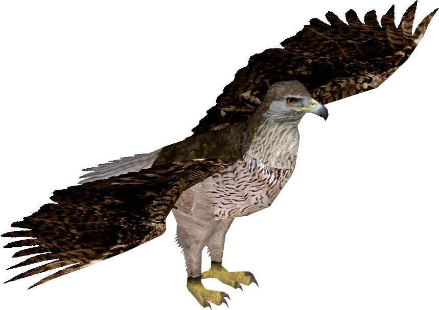 Bonelli's Eagle - Zt2 Bald Eagle (858x858), Png Download