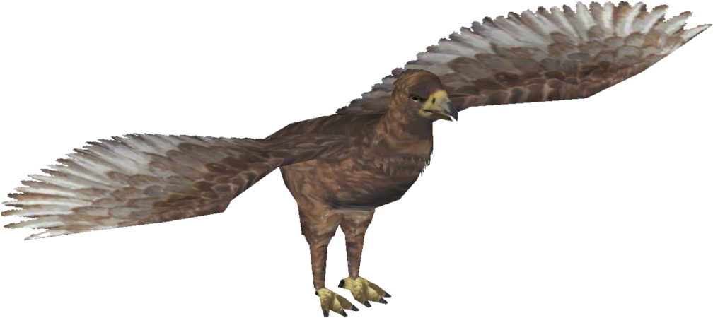Haast's Eagle (1024x1024), Png Download