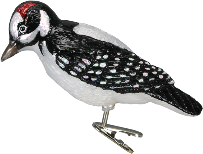 Hairy Woodpecker (950x950), Png Download