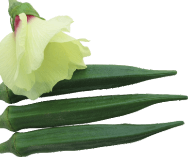 Gs 123 Plus - Artificial Flower (387x324), Png Download