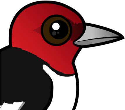 About The Red-headed Woodpecker - Woodpeckers Cartoon (440x440), Png Download