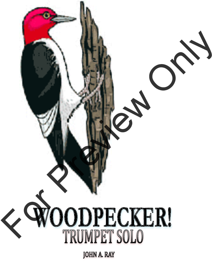 Woodpecker Thumbnail Woodpecker Thumbnail - J.w. Pepper & Son (816x1056), Png Download