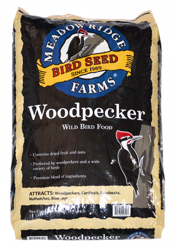 Woodpecker Png (800x800), Png Download