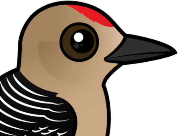 Woodpecker Clipart Two - Zazzle Birdorable Gila Woodpecker Ring, Adult Unisex, (640x480), Png Download