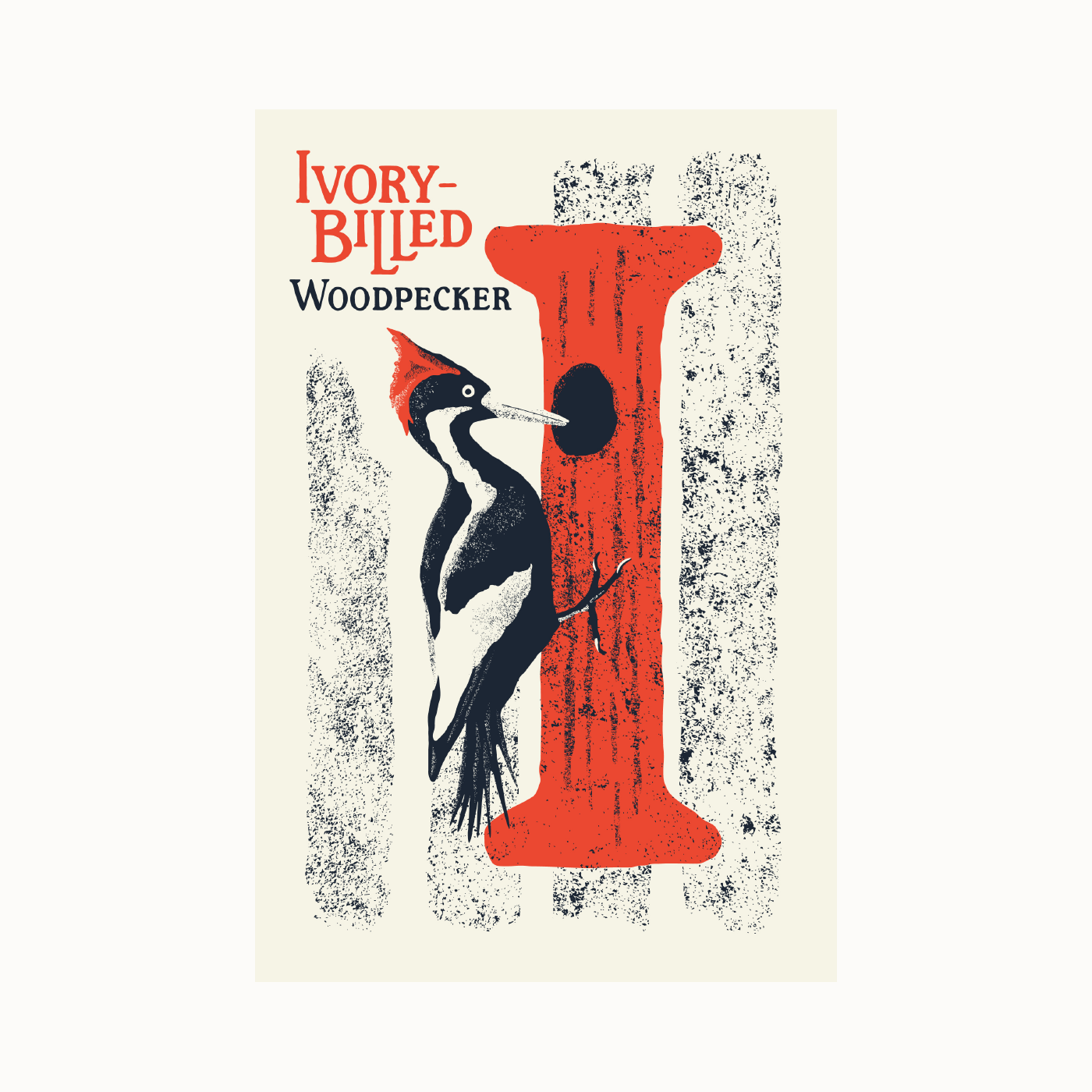 Ivory-billed Woodpecker (1400x1400), Png Download