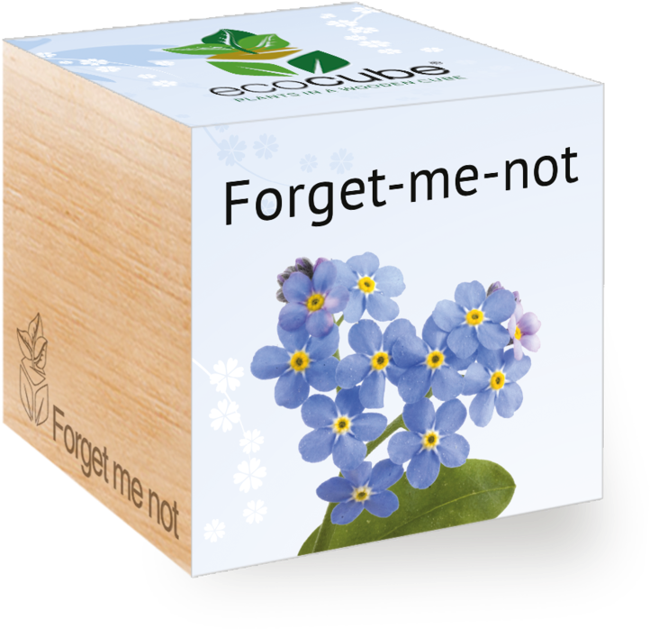 Ecocube - Pflanzen In Holzwürfeln - Vergissmeinnicht (800x800), Png Download