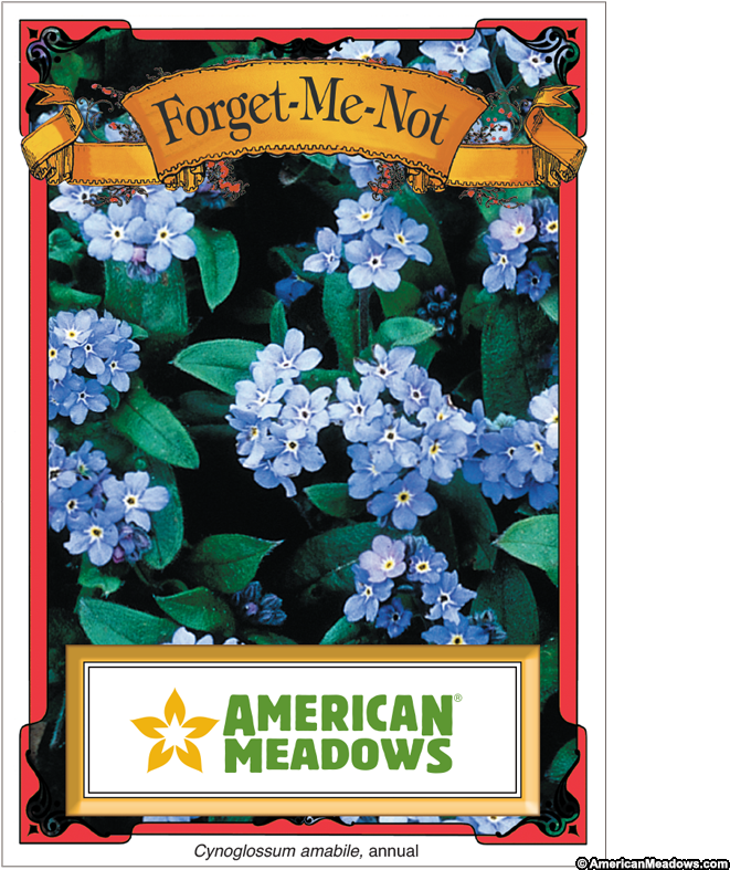 Forget Me Not Seed Packet - Seed Packets Of Flowers (800x800), Png Download
