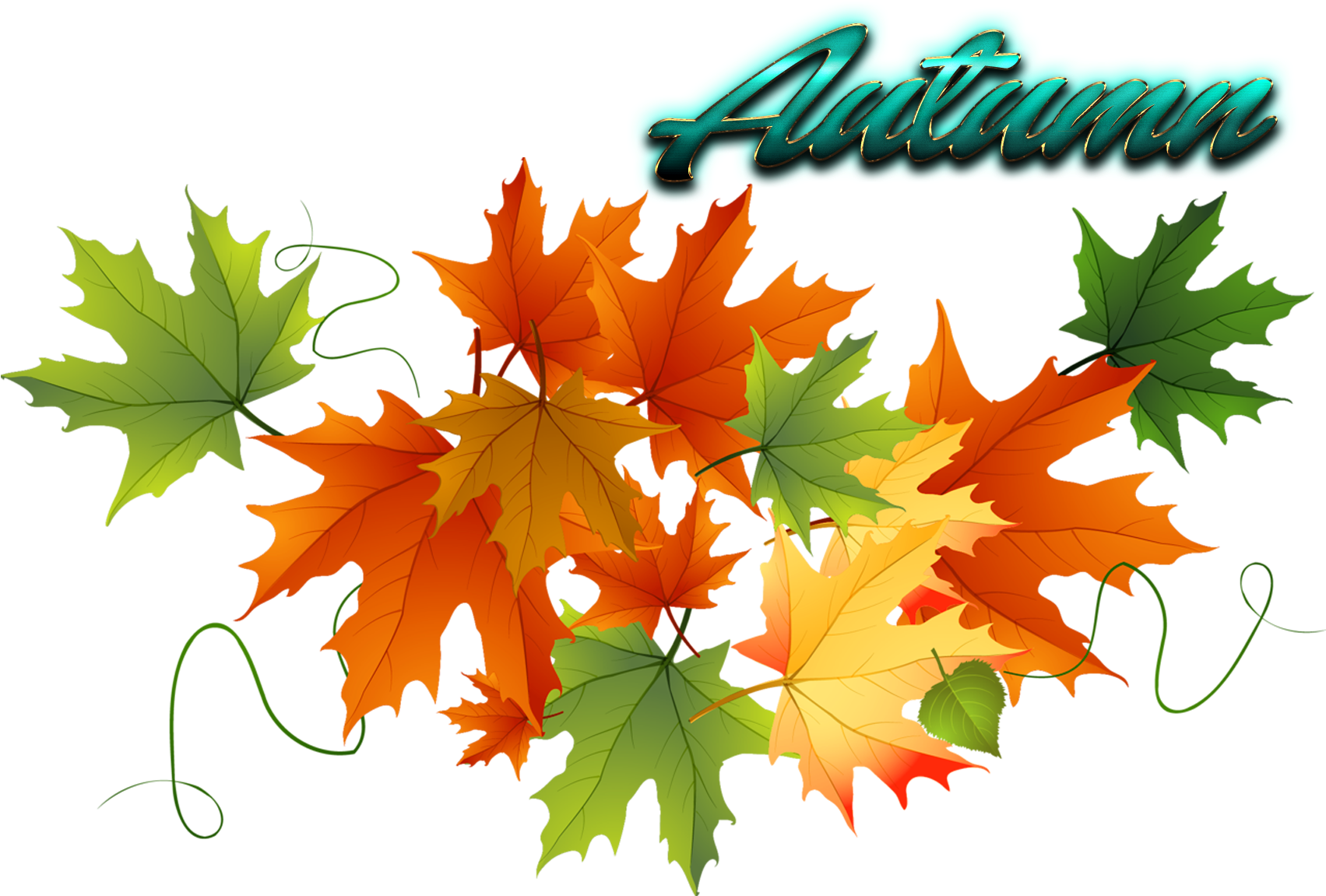 Autumn Leaves Free Png Image - Autumn Leaves Clipart (1920x1200), Png Download