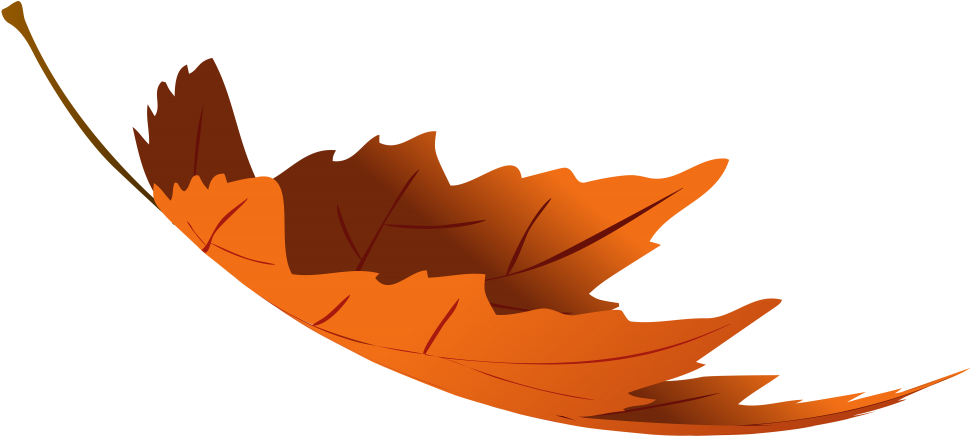 Autumn Leaves Transparent Png Images Free Download - Fall Leaves Transparent Png (1000x447), Png Download