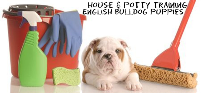 Didn't I Think Of That? - Multiple Uses Of Common Household (650x303), Png Download