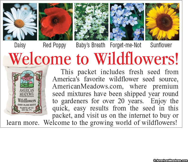 Forget Me Not Seed Packet - Sunflower (800x800), Png Download