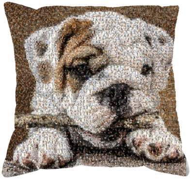 Unique English Bulldog Art Work Original Cushion Gifts - Art (498x498), Png Download