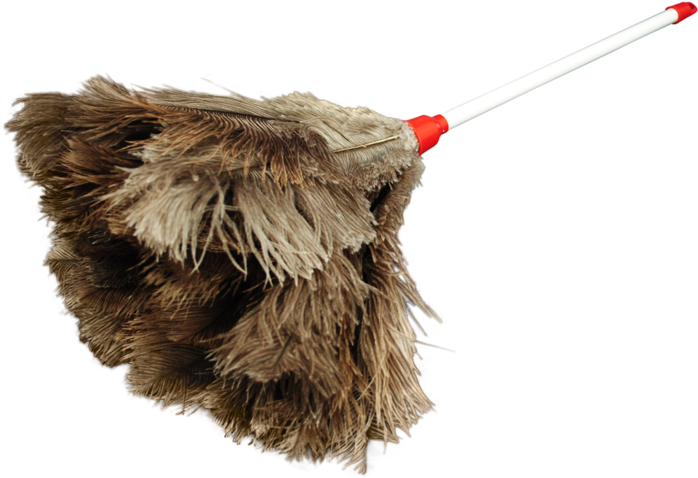 Feather Duster Display - Feather Duster (1024x1024), Png Download