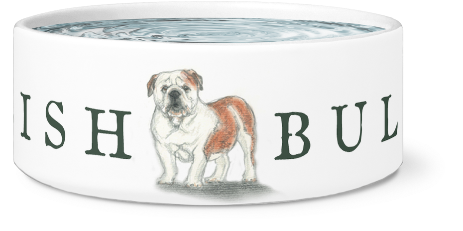 English Bulldog Bowl - I'm The Top Dog Novelty Dog Bowl, For Puppies And Adults (1024x1024), Png Download