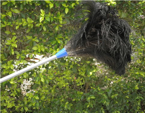 Heavy Duty 2 Piece Extension Ostrich Feather Duster - Product (500x500), Png Download